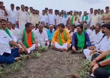 BJP Drought Study Team Led by R. Ashoka Protests in Pigeon Pea Field, Demands Relief for Farmers