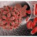 Mission Defeat Hepatitis Scales Up Nationwide Hepatitis B Screening