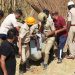Underpass Tragedy: Officials, Contractor Negligent, Says K. Gopalaiah