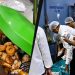 Expired milk, fungal vegetables found during food safety checks at Bengaluru hotels